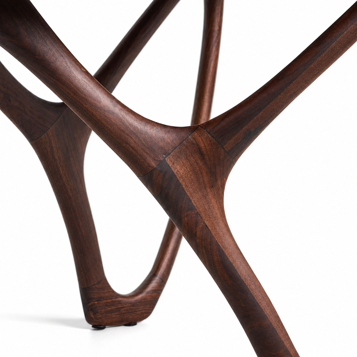 Close up of black walnut organic branching legs.